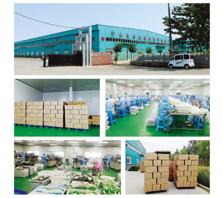 product-1-1